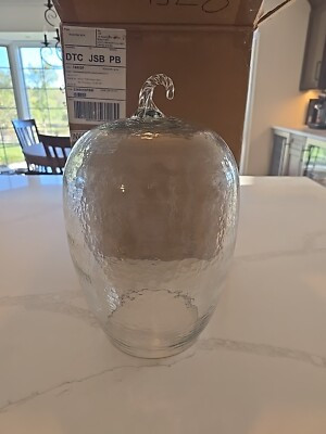 POTTERY BARN Hammered Recycled Glass Pumpkin Cloche TALL NEW  | eBay | eBay US