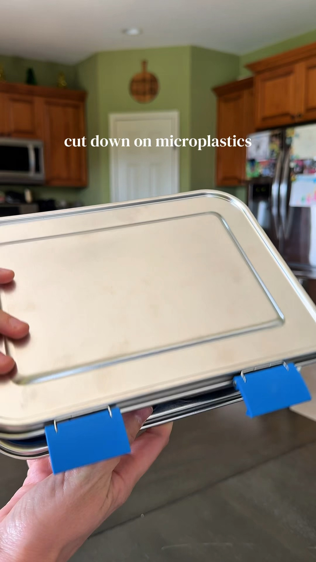 Cutting Down on Microplastic With Stainless Steel Bento Box Lunch Box