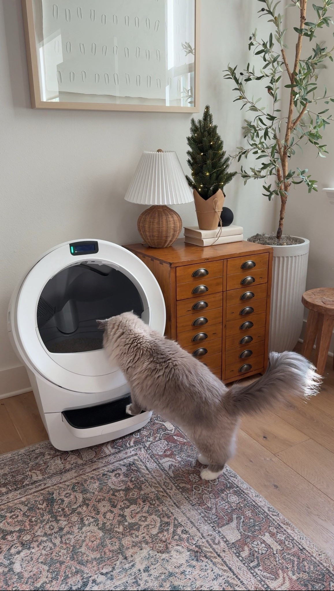 Litter-Robot 5

#LTKPets
