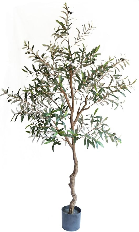 Mulberry Lane Co. 6FT Faux Olive Tree—  Olive Trees Artificial Indoor | Elegant Fake Olive Tree... | Amazon (US)
