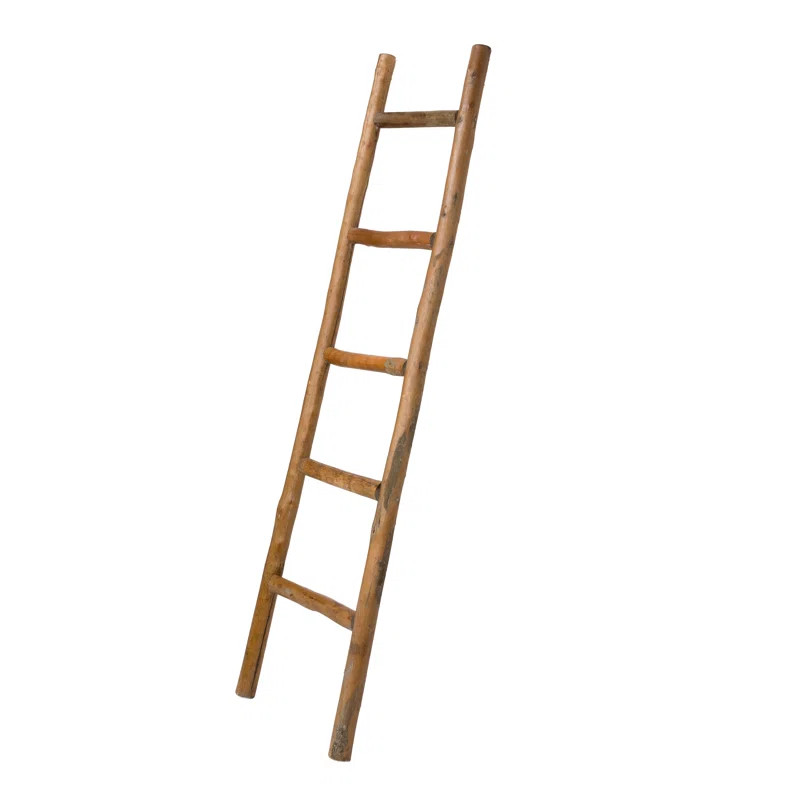4.9 ft Blanket Ladder | Wayfair North America