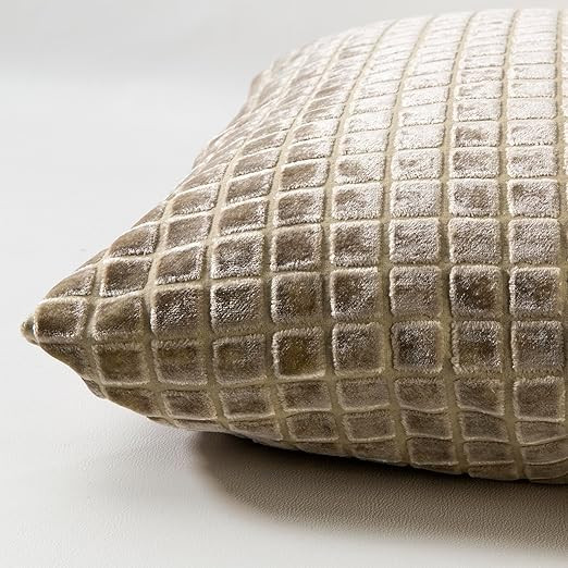 Liz Jordan-Hill Plush Velvet Decorative Throw Pillow, Firm Down Alternative Microfiber Fill (Trap... | Amazon (US)