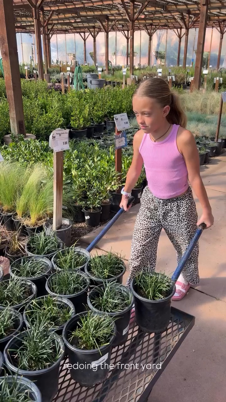 redoing the front yard