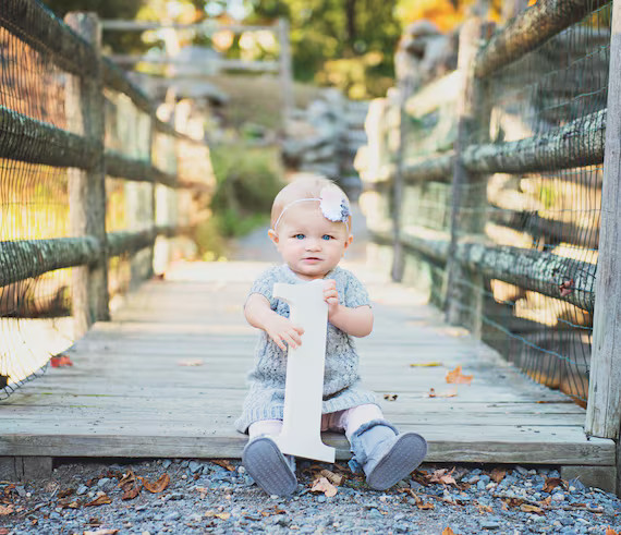 1 Sign Photo Prop for First Birthday Photo Shoot for Babies | Etsy | Etsy (US)