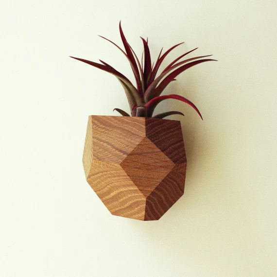 Wall Mounted Geometric Air Plant Holder Made from Reclaimed | Etsy | Etsy (US)