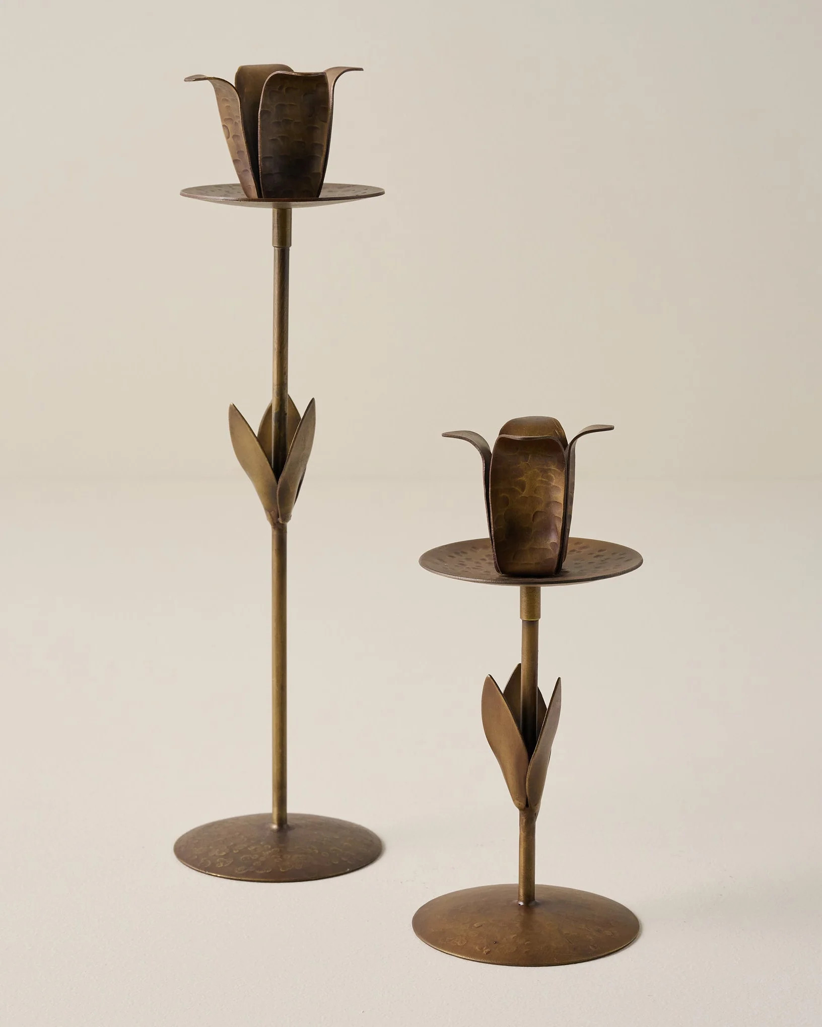 Forged Tulip Taper Holder | Magnolia