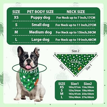 2 Pieces St. Patrick's Day Dog Bandanas, Double-Sided Reversible Triangle Scarf, Green Shamrock a... | Amazon (US)