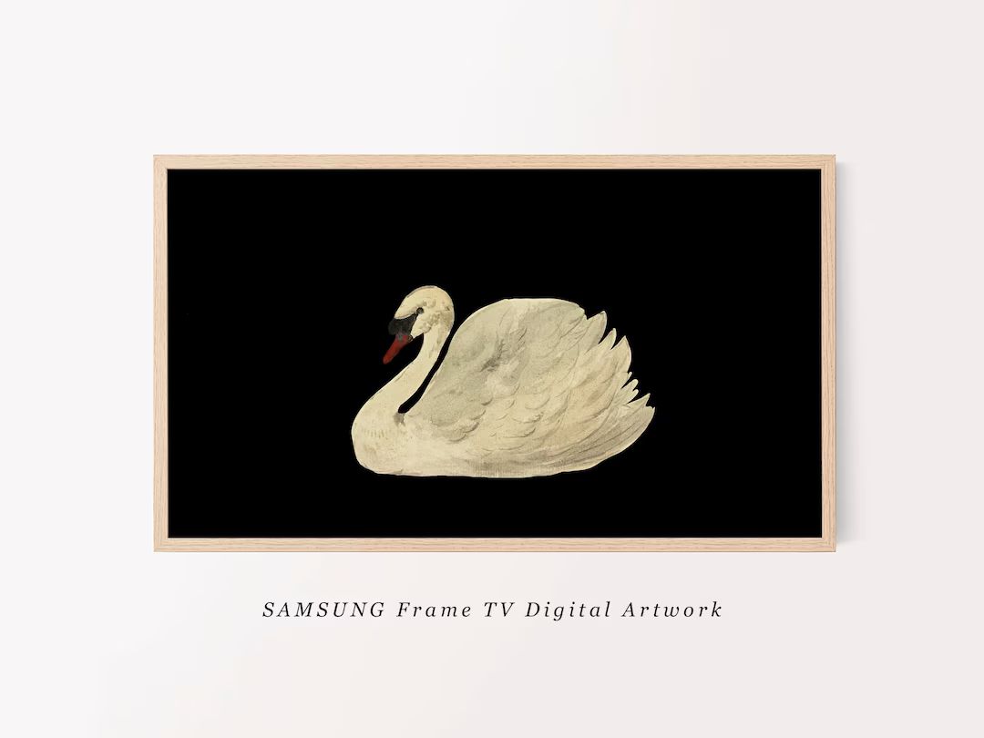 Vintage Swan Watercolor Painting Samsung Frame TV Art Modern Farmhouse TV Artwork Neutral Samsung... | Etsy (US)