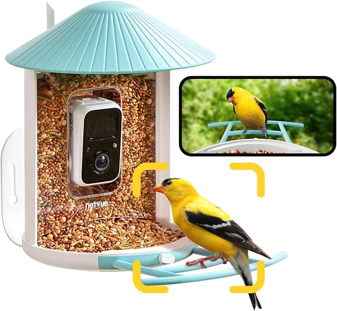 NETVUE Birdfy® AI Smart Bird Feeder with Camera, Lifetime AI Auto Capture Each Bird Come & Ident... | Amazon (US)