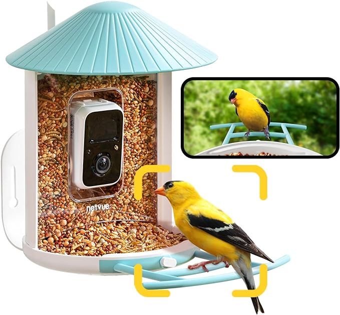 NETVUE Birdfy® AI Smart Bird Feeder with Camera, Lifetime AI Auto Capture Each Bird Come & Ident... | Amazon (US)