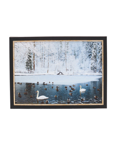 16x12 Winter Swan Framed Wall Art | TJ Maxx