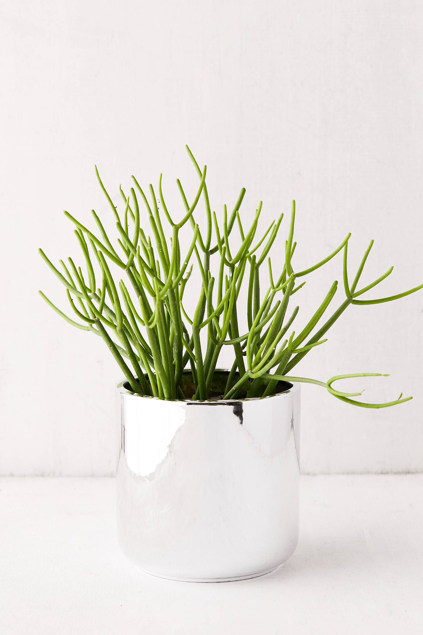 Chrome Glazed 6” Planter | Urban Outfitters (US and RoW)