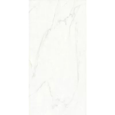 Festiva 12" x 24" Porcelain Field Tile in Glossy White Bella Via | Wayfair North America