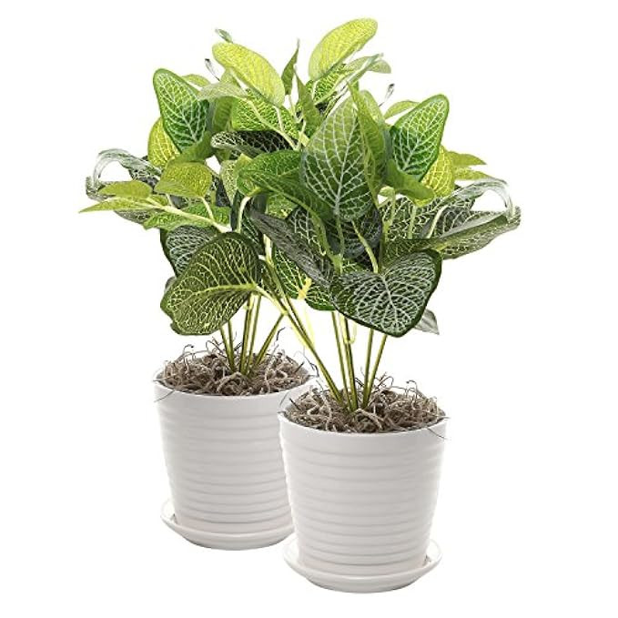 MyGift Set of 2 White Ceramic Ribbed Design Round Succulent Plant Pots/Small Decorative Herb Planter | Amazon (US)