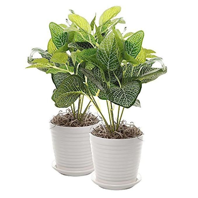 MyGift Set of 2 White Ceramic Ribbed Design Round Succulent Plant Pots/Small Decorative Herb Planter | Amazon (US)