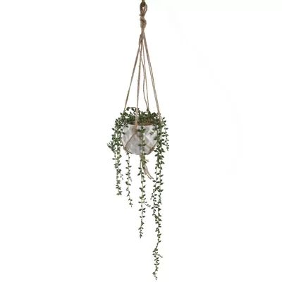 Donkey Tails String of Pearls Hanging Ivy Plant in Pot George Oliver Size: 12" H x 4" W x 4" D | Wayfair North America