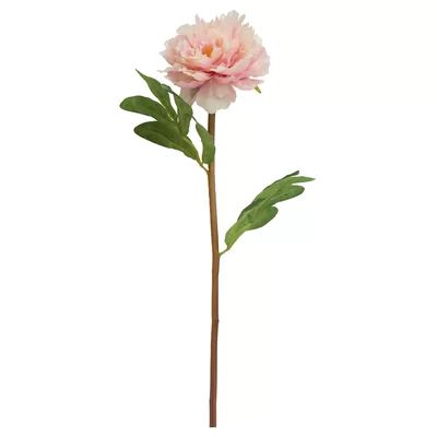 Fabric Peony Stem Ophelia & Co. Flower Color: Pink | Wayfair North America