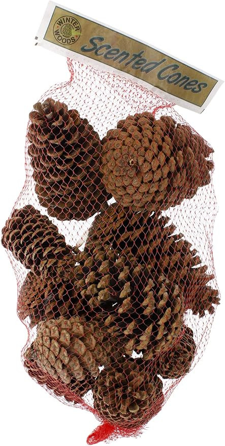 Winter Woods Cinnamon Scented Pinecones 12-14/Pkg, Large | Amazon (US)