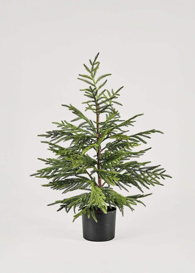 Afloral Artificial Norfolk Pine Tree - 36" | Amazon (US)