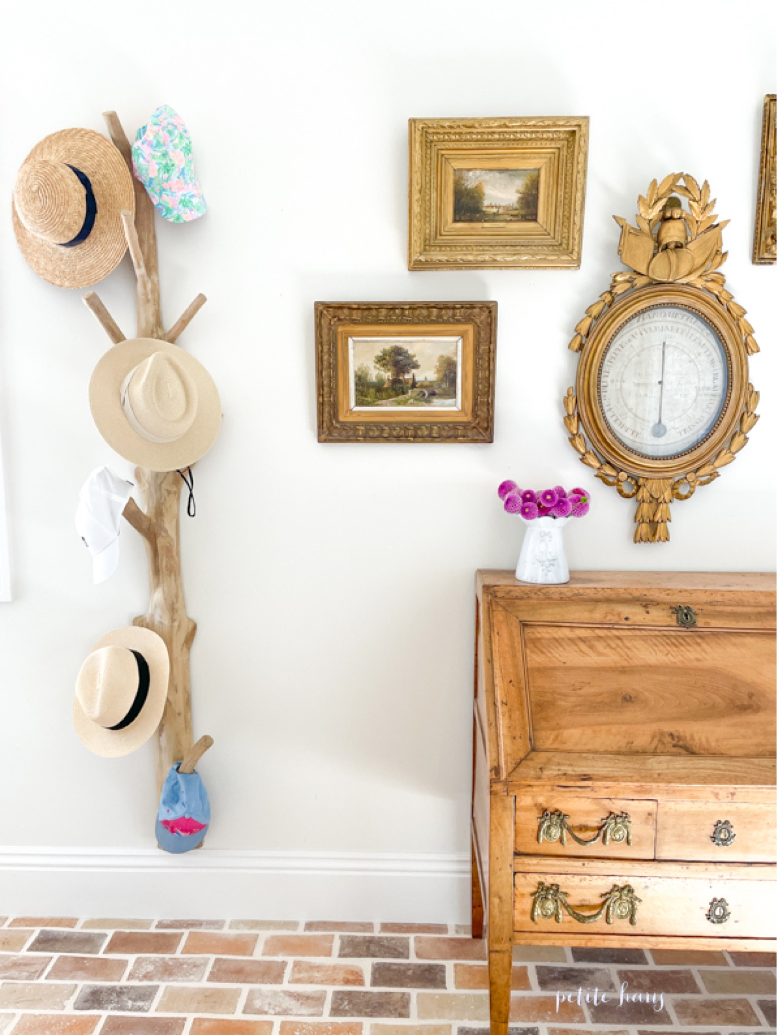 Mangosteen tree branch farmhouse hat rack 

#LTKFind #LTKhome