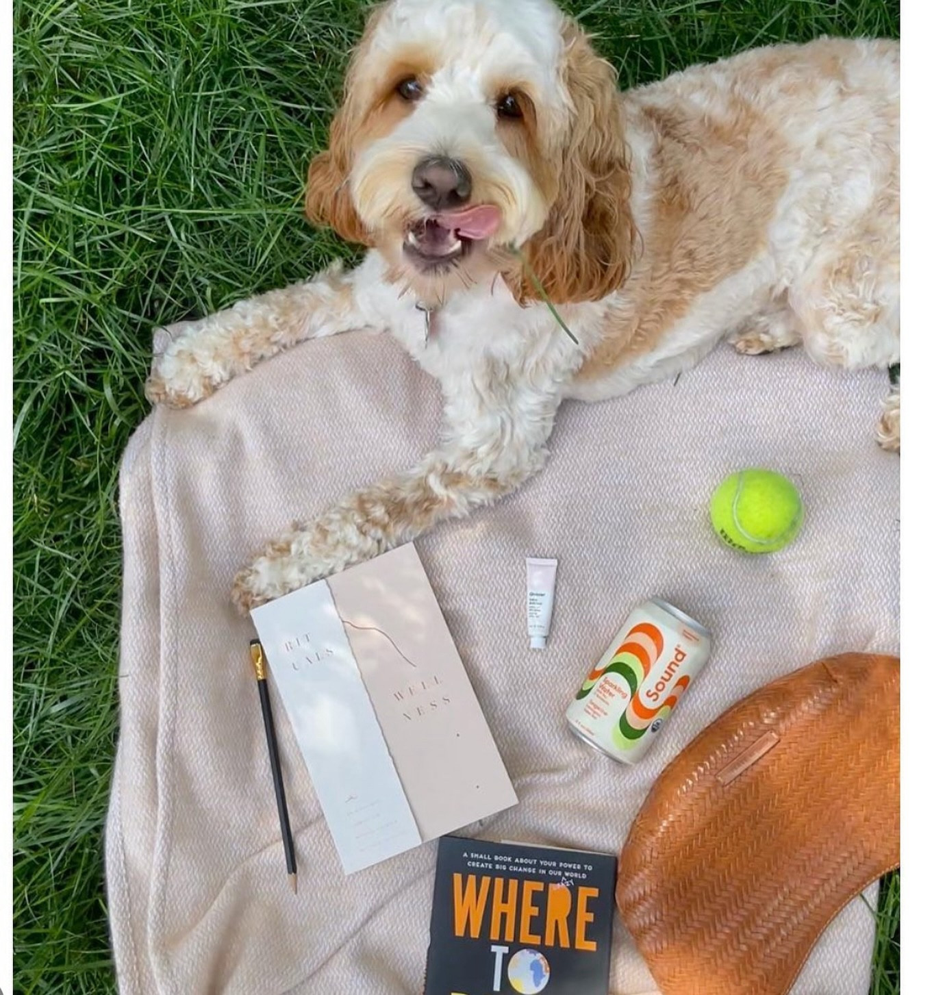 That first Summer Friday feeling 🌸🦪🍒

Always feeling inspired by the vibrant energy of DC in the summer 🌞🎨

#flatlay #artdirector #dogsofinstagram #illustratorsoninstagram #propstylist #productstylist #dc #moodboard #productphotography #parisian