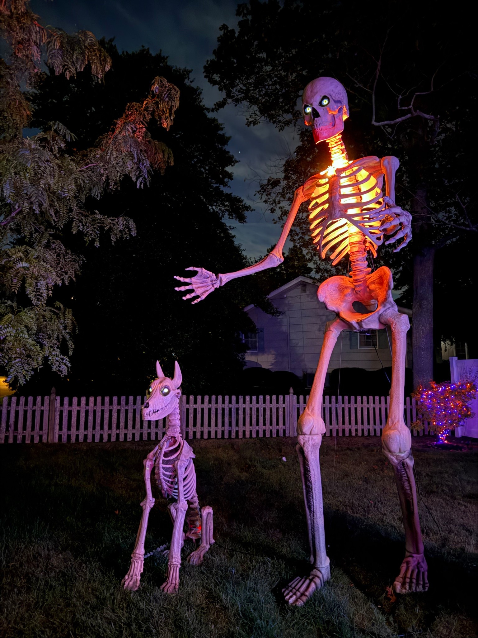 Spooky front yard thangssss 

#LTKSeasonal #LTKHome #LTKHalloween