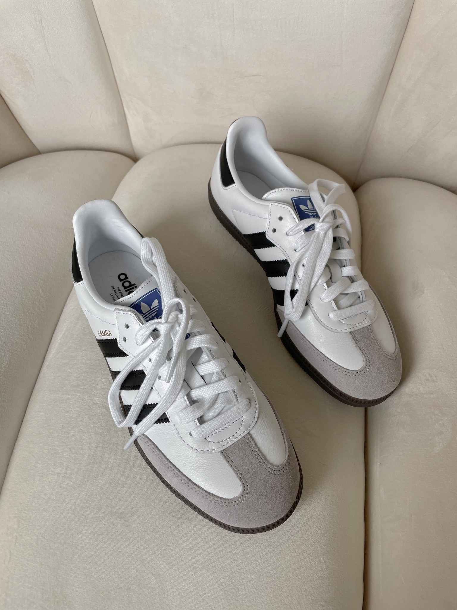 Samba sneakers. They run true to size. 

Follow me @TheAllureEdition for Amazon fashion, beauty, home and lifestyle. Follow my blog TheAllureEdition.com .
Click below to shop. #liketkit @shop.ltk

#LTKshoecrush #LTKstyletip