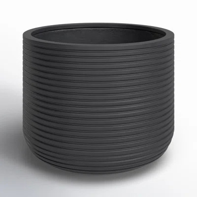 Norah Pot Planter | Wayfair North America