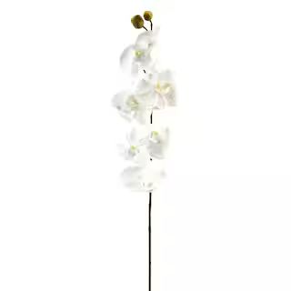 Phaleanopsis Orchid by Ashland® | Michaels Stores