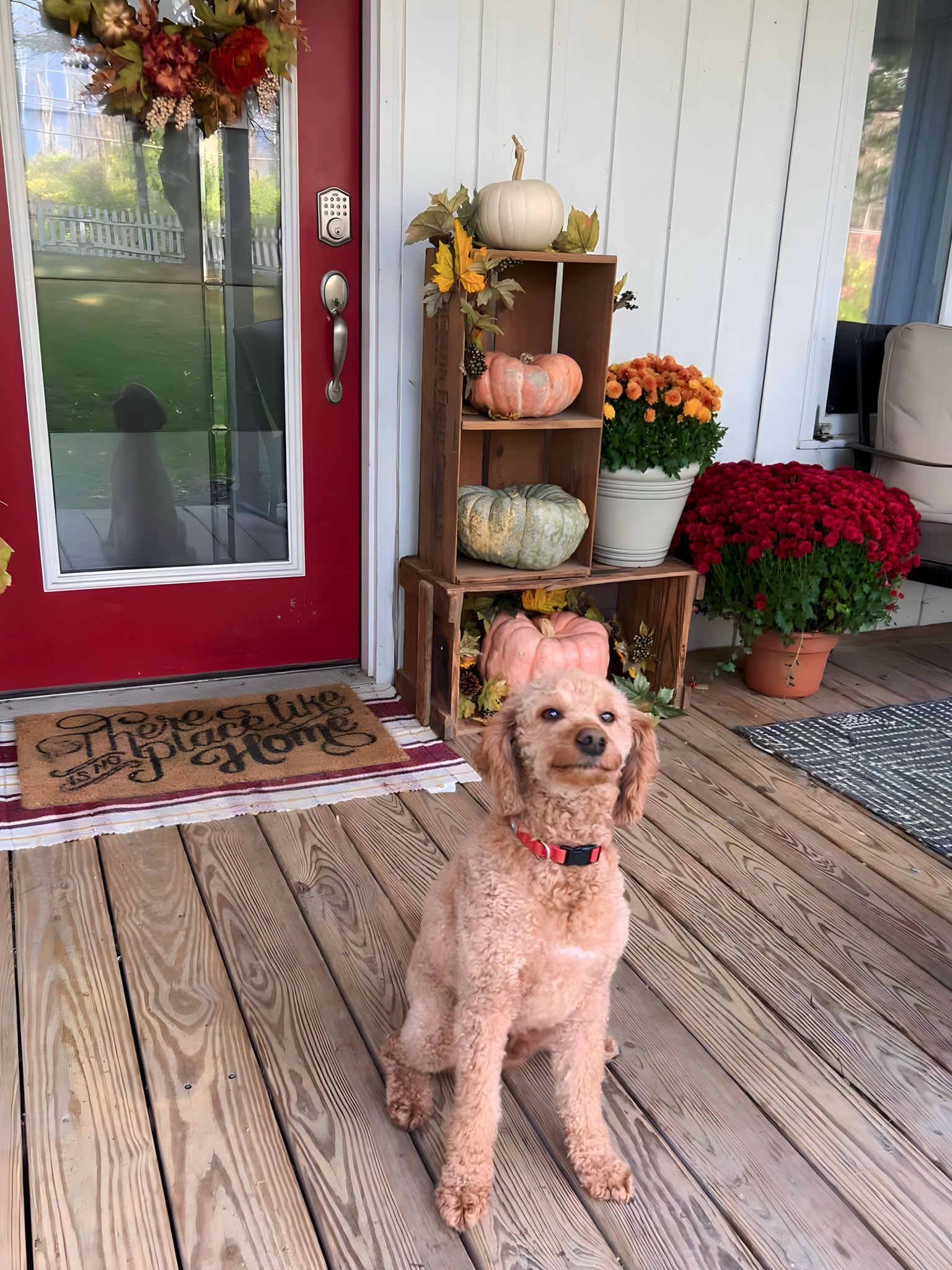 Did someone say fall? Bring on the porch decor! 


#LTKSeasonal #LTKHome #LTKStyleTip