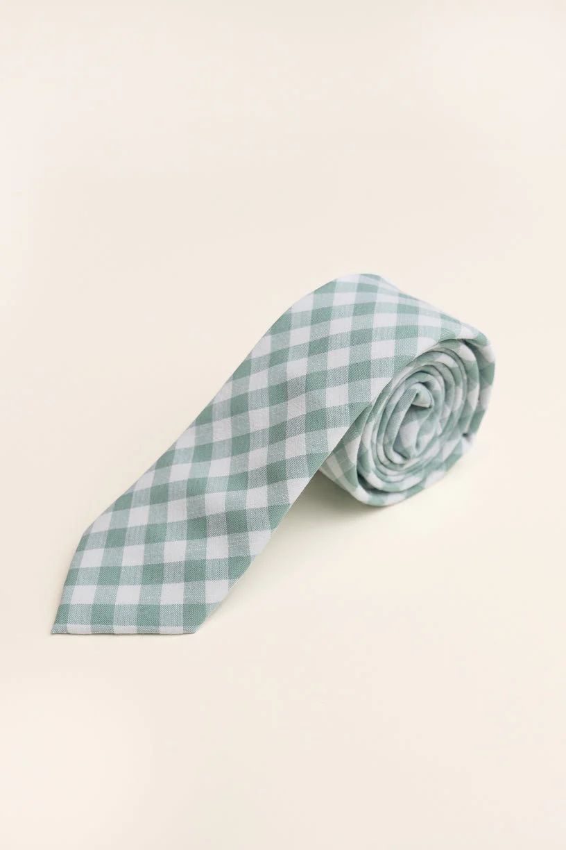Mens Max Tie in Mint Gingham | Ivy City Co