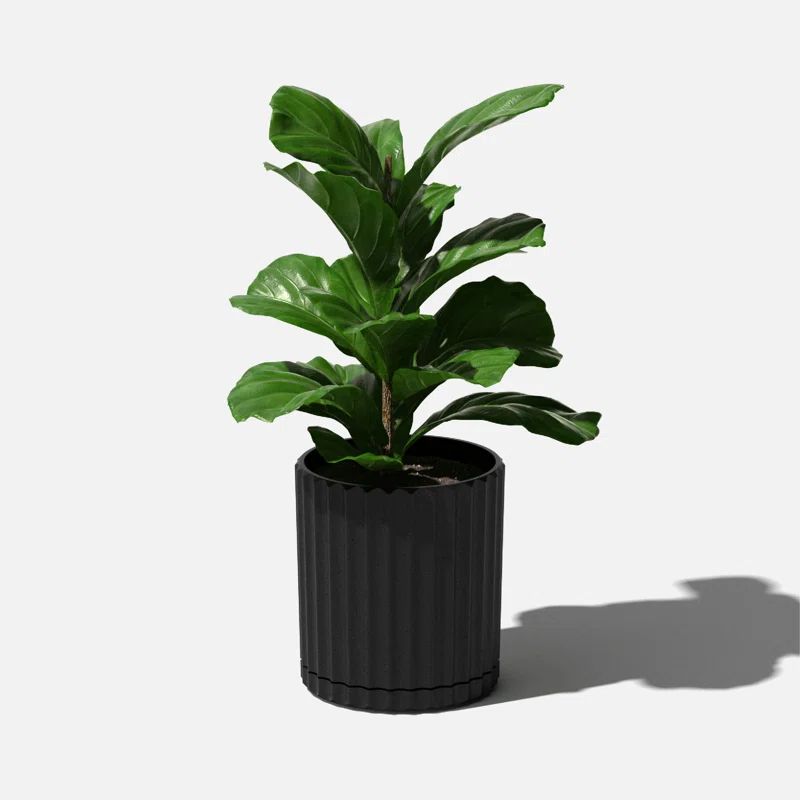 Pot Planter | Wayfair North America