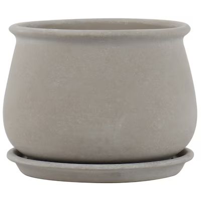 allen + roth  Small (0-8-Quart) 7.99-in W x 6.1-in H Grey Ceramic Planter with Drainage Holes | Lowe's
