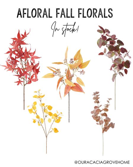 Afloral fall florals that are in stock! Some are even marked down!

#LTKSeasonal #LTKhome #LTKsalealert