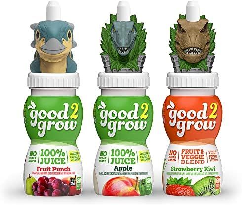good2grow Jurassic World 3 Flavor Fruit Juice Variety Packs (Apple, Fruit Punch, Strawberry Kiwi)... | Amazon (US)