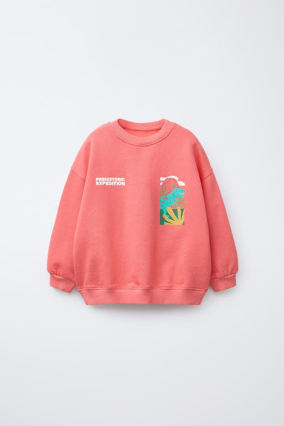 DINOSAUR PRINT SWEATSHIRT | Zara US
