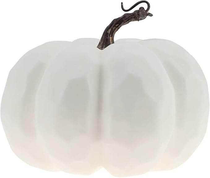 $17.69$17.69 | Amazon (US)