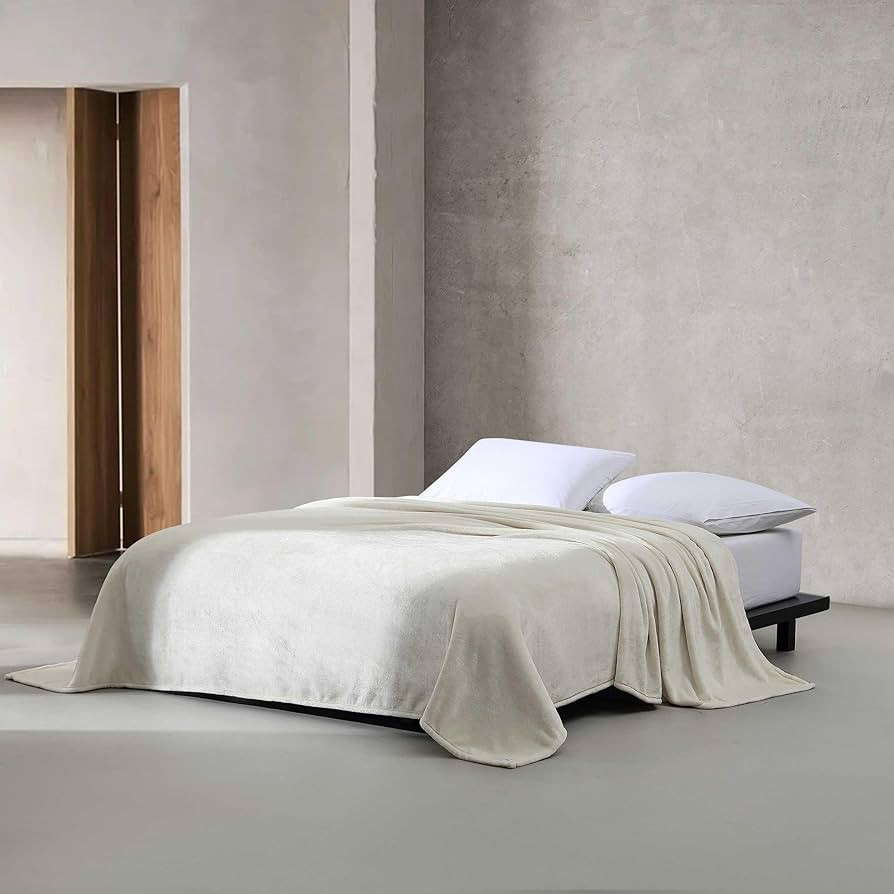 Calvin Klein - Queen Blanket, Super Soft Plush Bedding, All Season Home Decor (Core Plush Ivory, ... | Amazon (US)