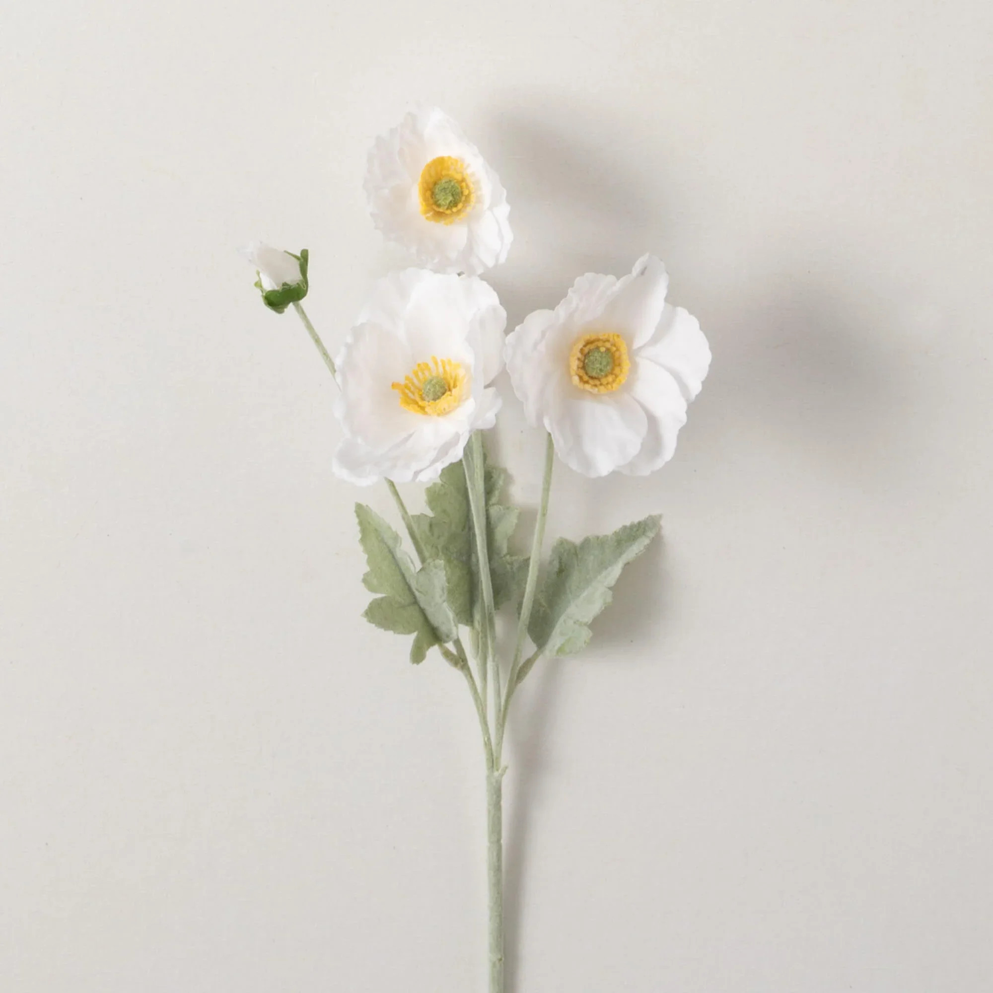 Poppy Stem - Ivory | Eco Chic Home