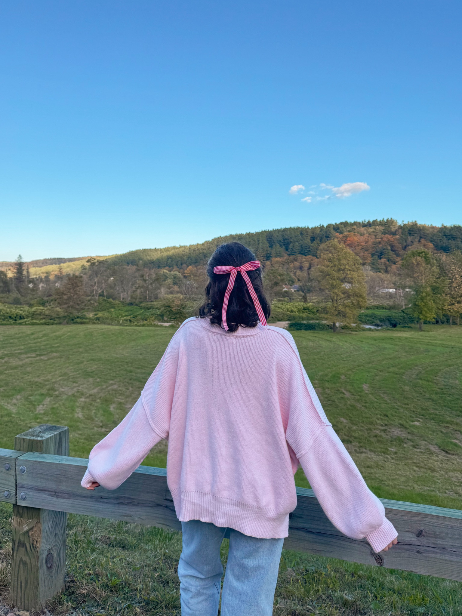 comfy pink sweater for fall! 🎀 wearing size XL

#LTKStyleTip #LTKSeasonal #LTKFindsUnder100