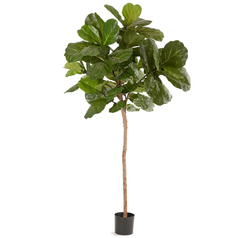 72'' Faux Fiddle Leaf Fig Tree in Pot | Wayfair North America