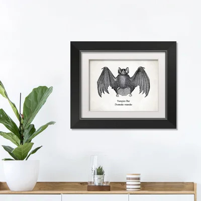Bat - Single Picture Frame Graphic Art | Wayfair North America
