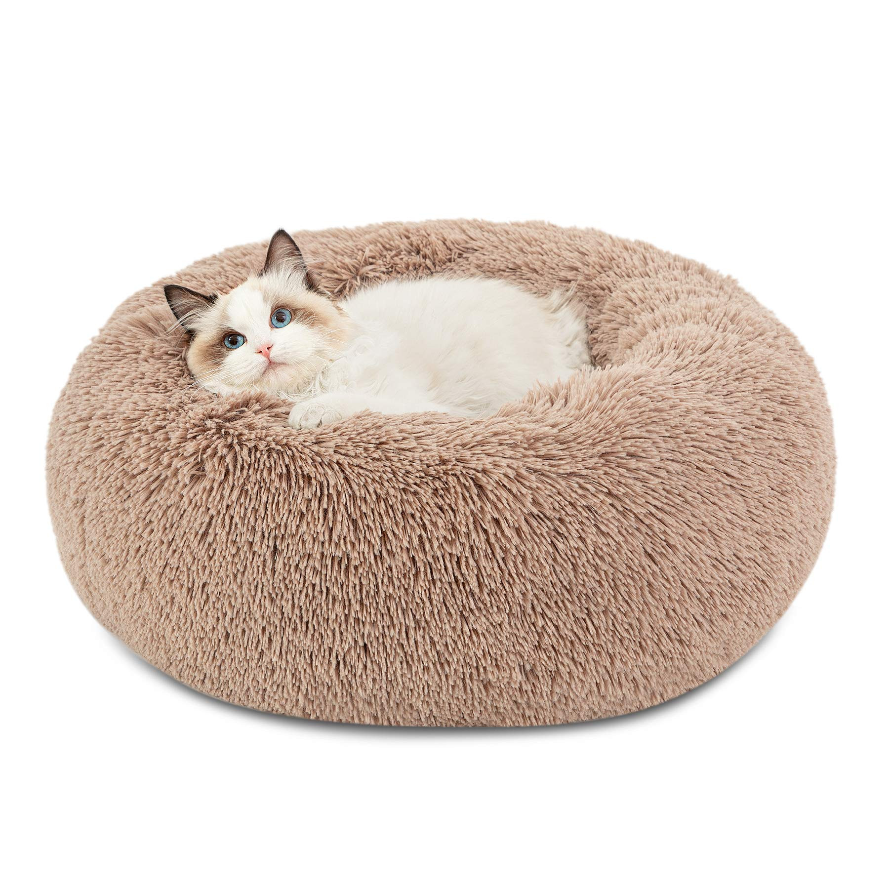 Bedsure Calming Cat Beds for Indoor Cats - Small Cat Bed Washable 20 inches, Anti-Slip Round Fluf... | Amazon (US)