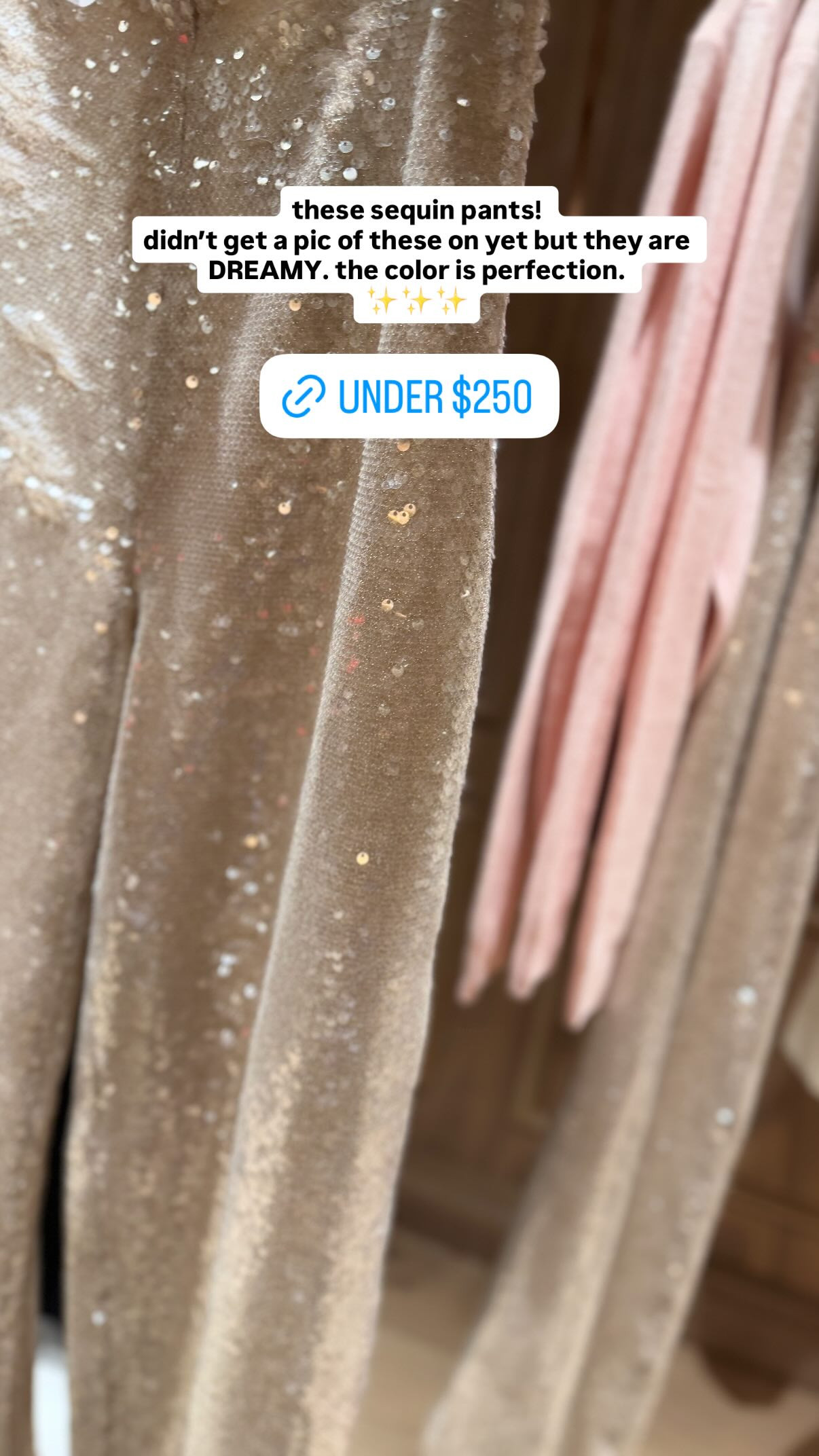 These sequin pants are so stunning and under $250! 

 
