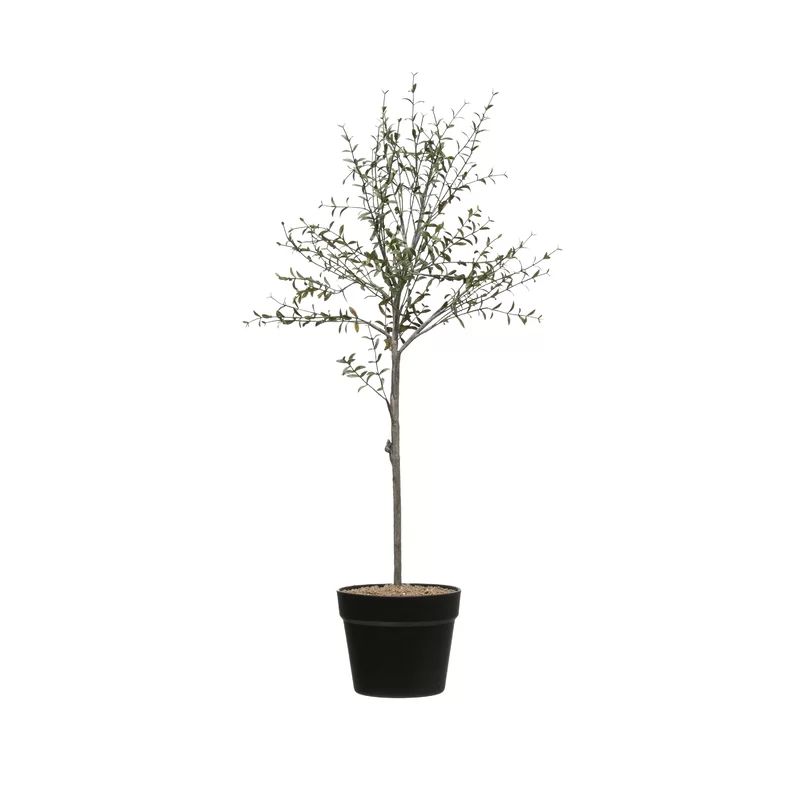 29'' Faux Thyme Topiary in Terracotta Pot | Wayfair North America