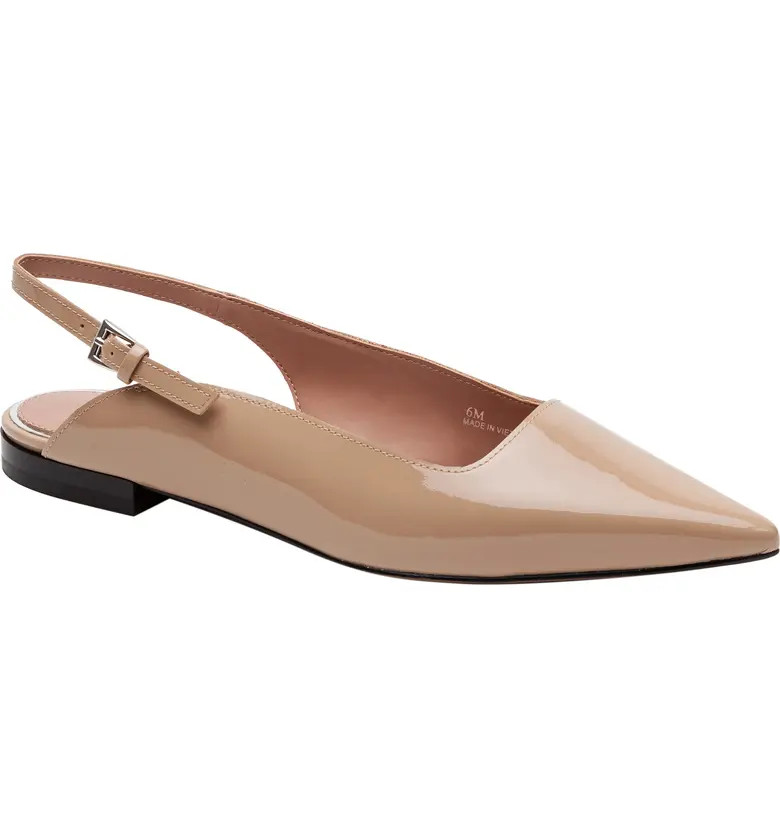 Caia Pointed Toe Slingback Flat (Women) | Nordstrom