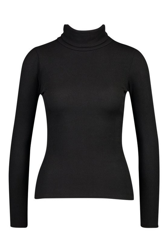 Petite Rib Long Sleeved Turtle Neck Top | Boohoo.com (US & CA)