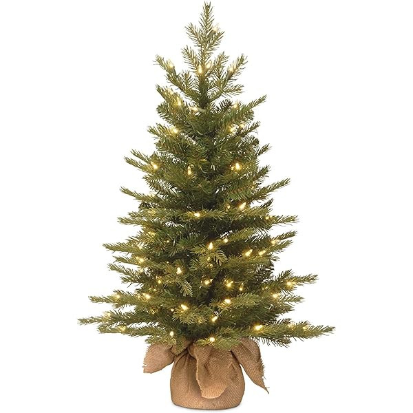 National Tree Company Pre-lit Artificial Mini Christmas Tree | Includes Small White LED Lights and C | Amazon (US)