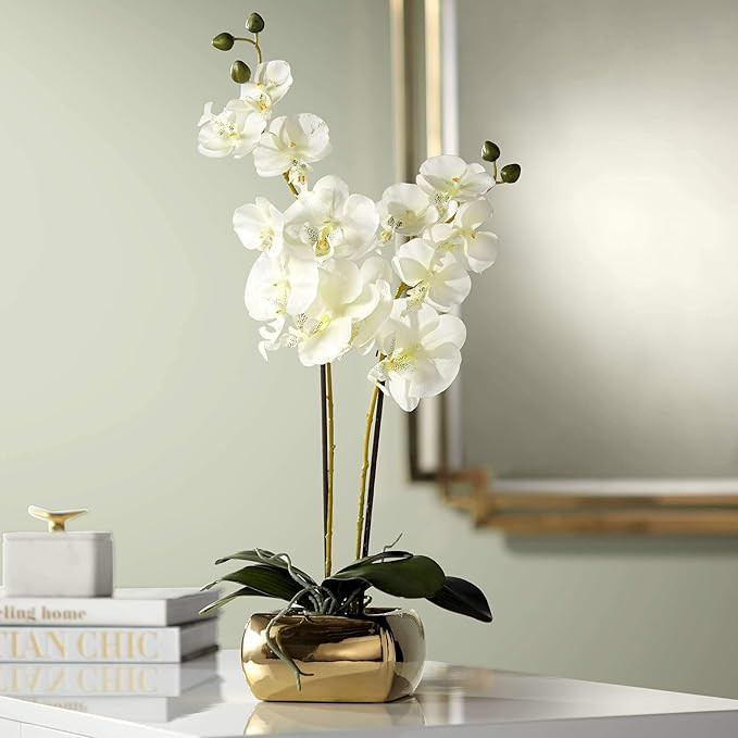 Dahlia Studios Potted Silk Faux Artificial Flowers Realistic White Phalaenopsis Orchid Greenery i... | Amazon (US)
