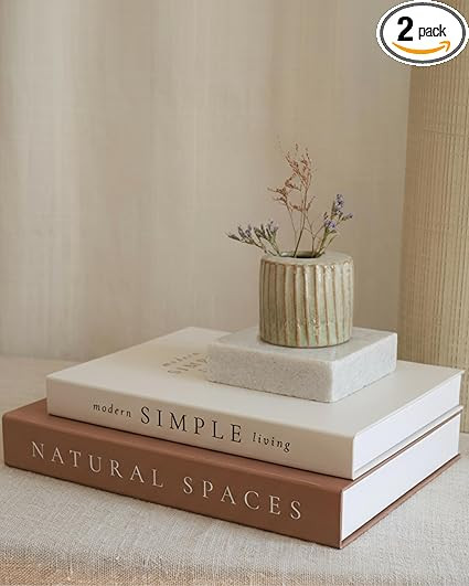 Beautiful Decorative Books - Set of 2 Boxes Enhance Your Coffee Table, Bookshelf or Mantel Shelf ... | Amazon (US)